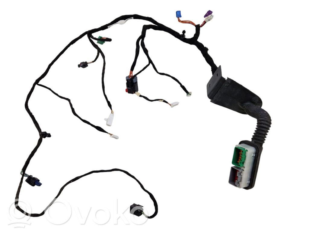 Dodge Charger Cableado de puerta delantera 