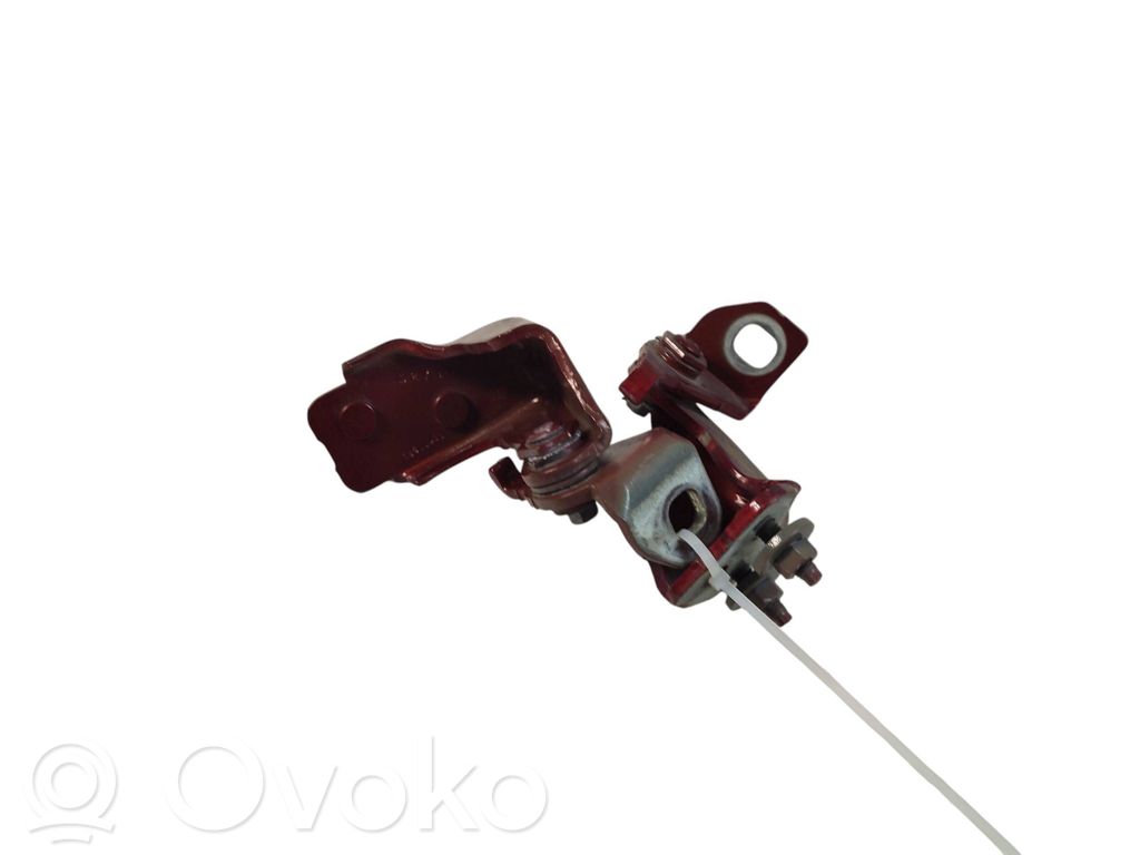 Ford Edge II Rear door hinge set 