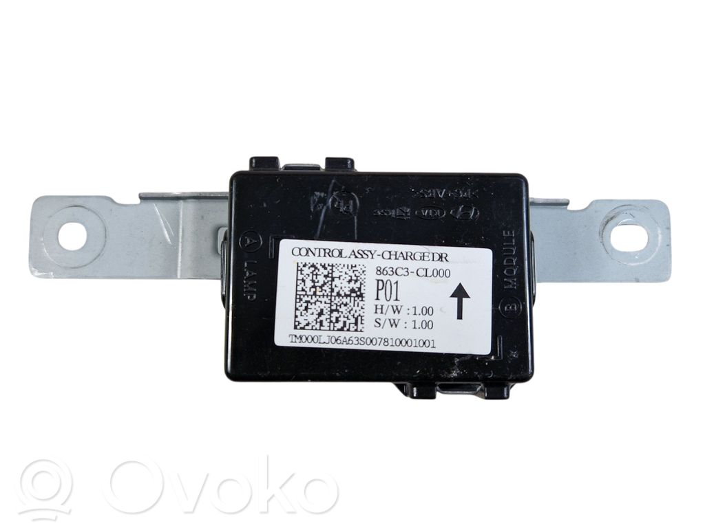 Hyundai Santa Fe Other control units/modules 