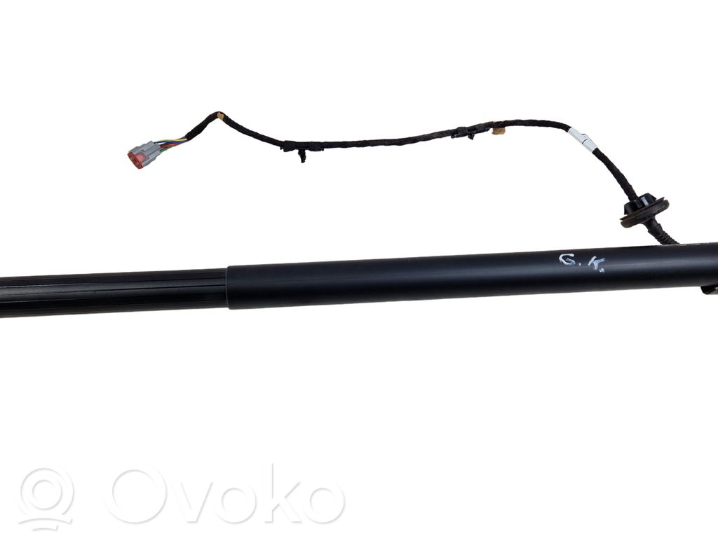 Ford Escape IV Tailgate/trunk strut/damper 