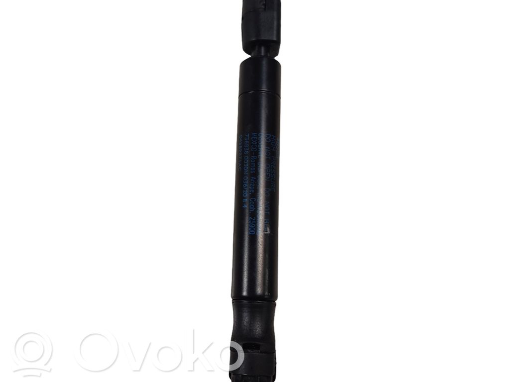 Dodge Charger Tailgate/trunk strut/damper 