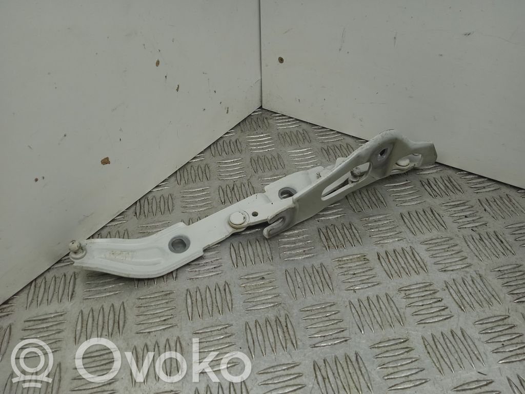 Tailgate/trunk/boot hinge   7060628