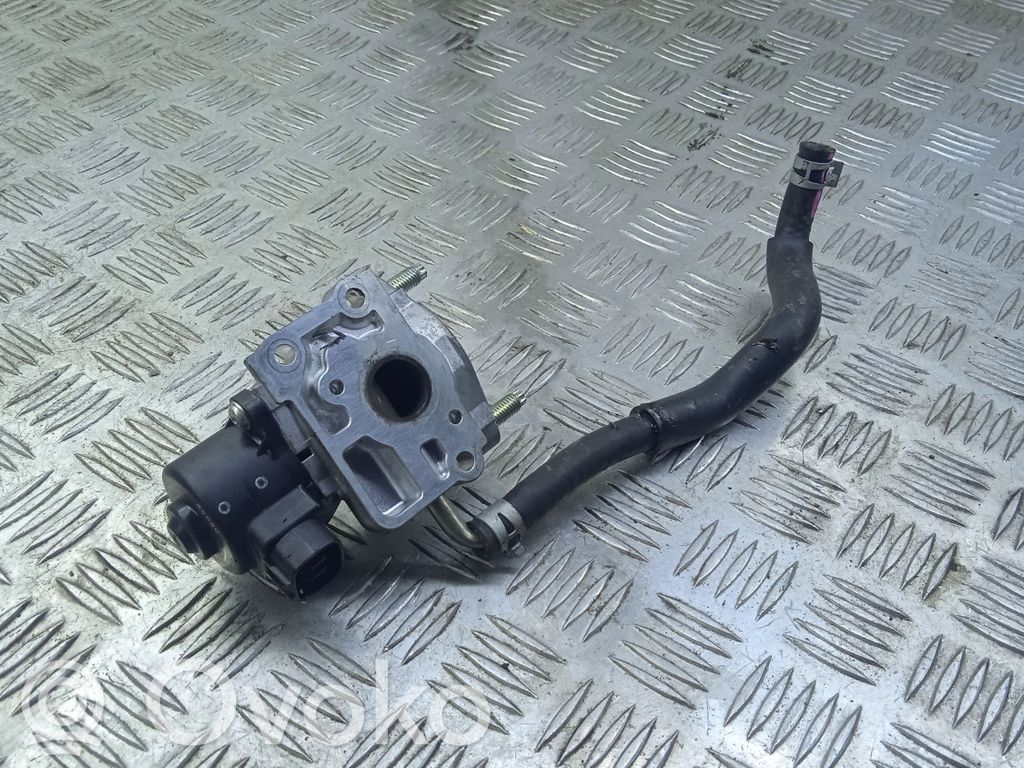 Válvula EGR   2562036060