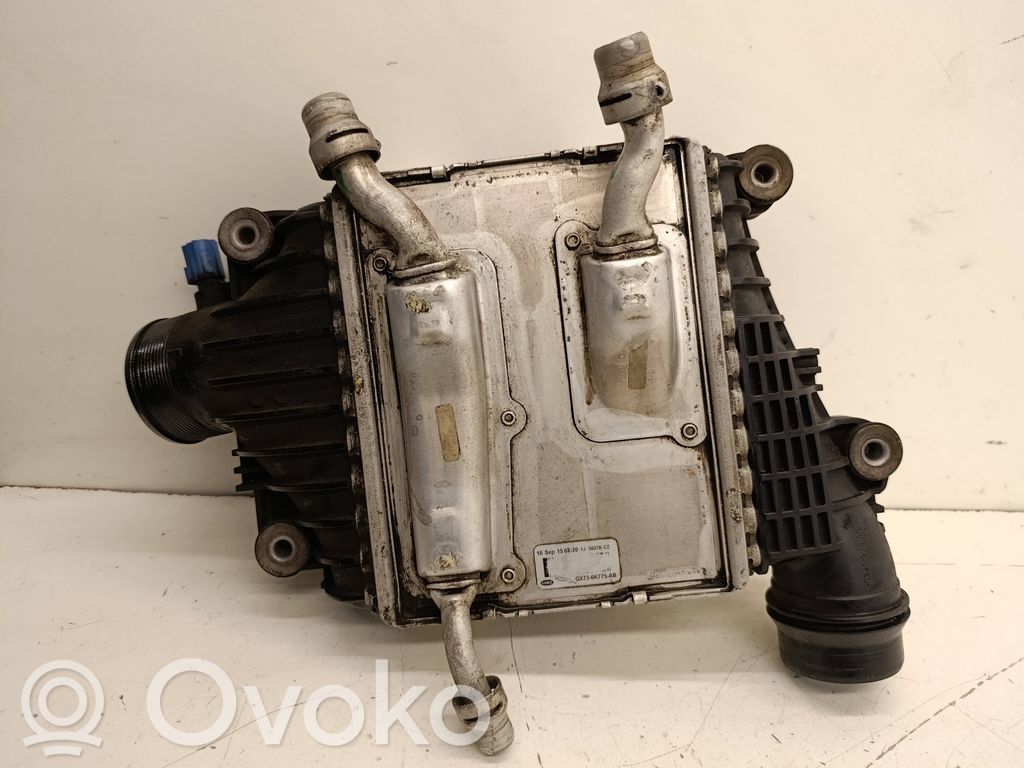 Interkūlerio radiatorius   GX736K775AB