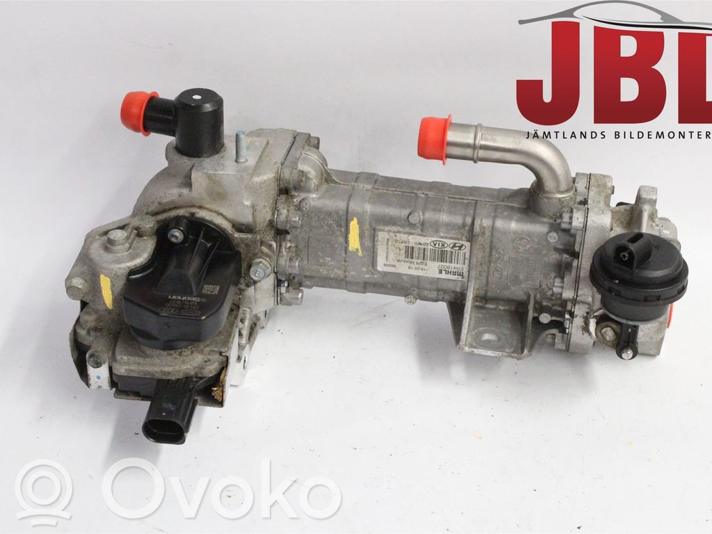 Válvula EGR   284202A610