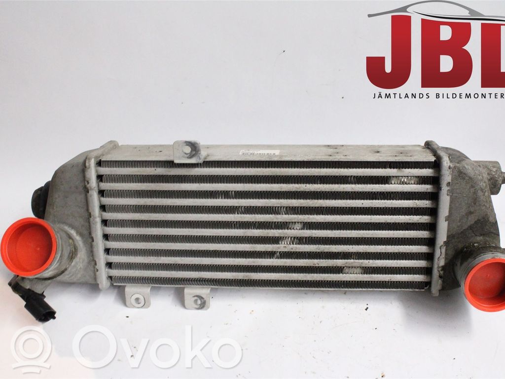 Intercooler radiator   282702A610