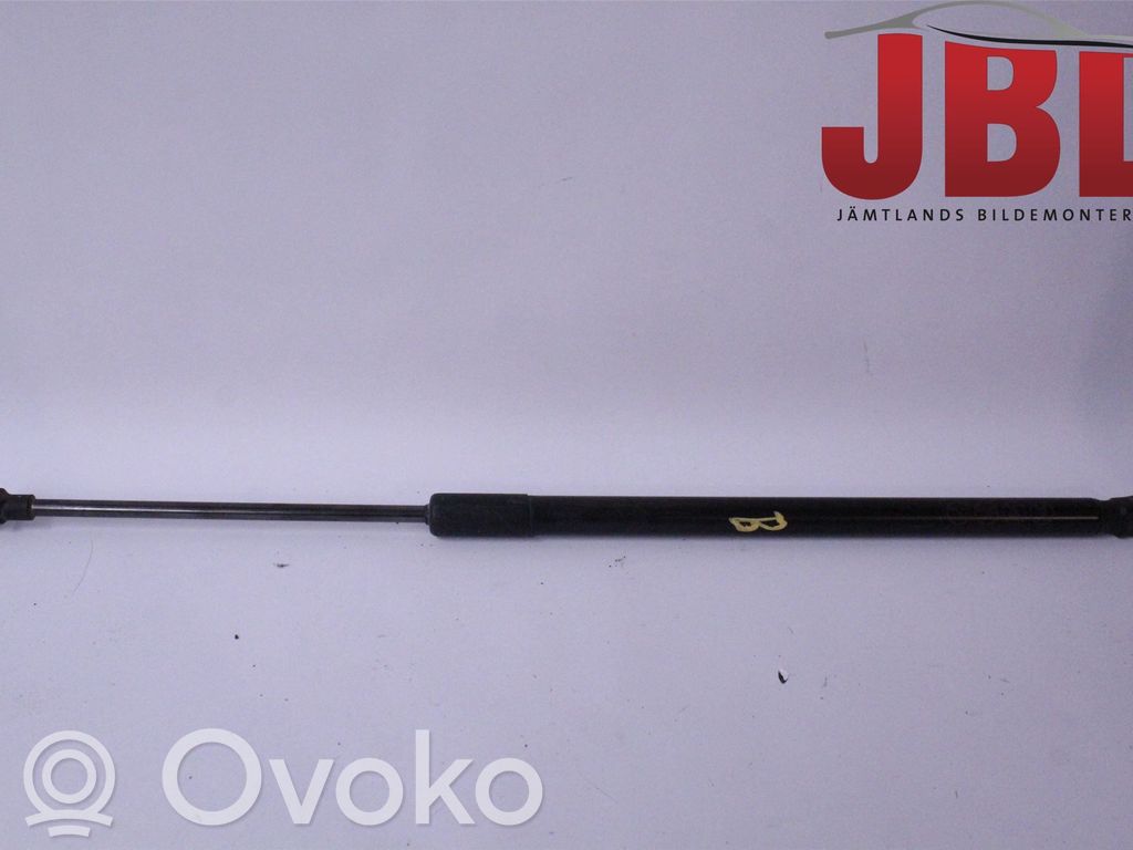 Tailgate strut   DA6C62620A