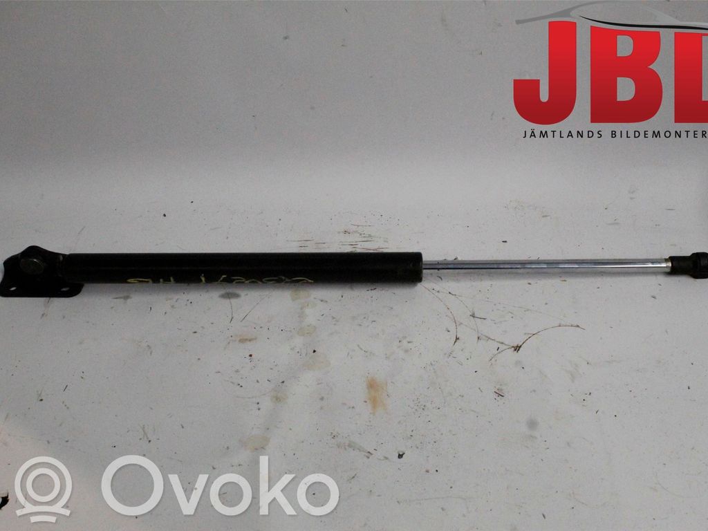 Tailgate strut   5802A666
