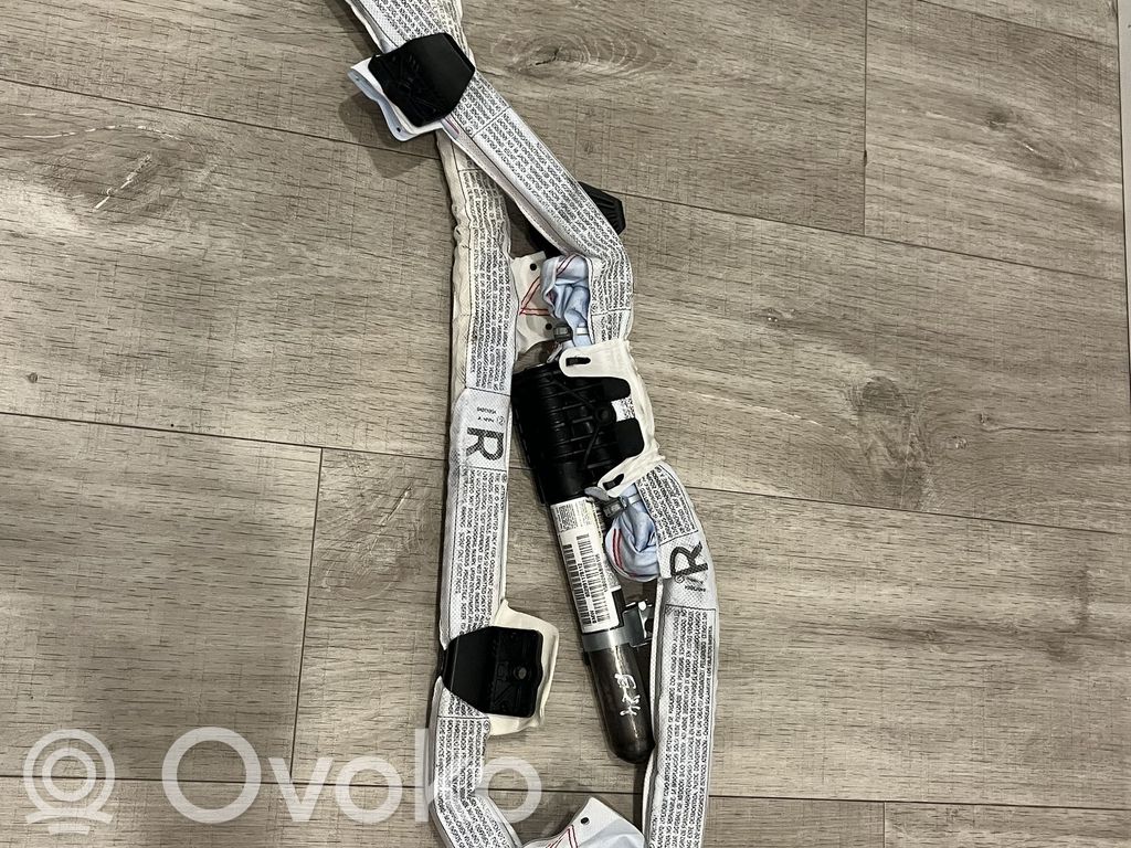 BMW X1 E84 Airbag del techo 