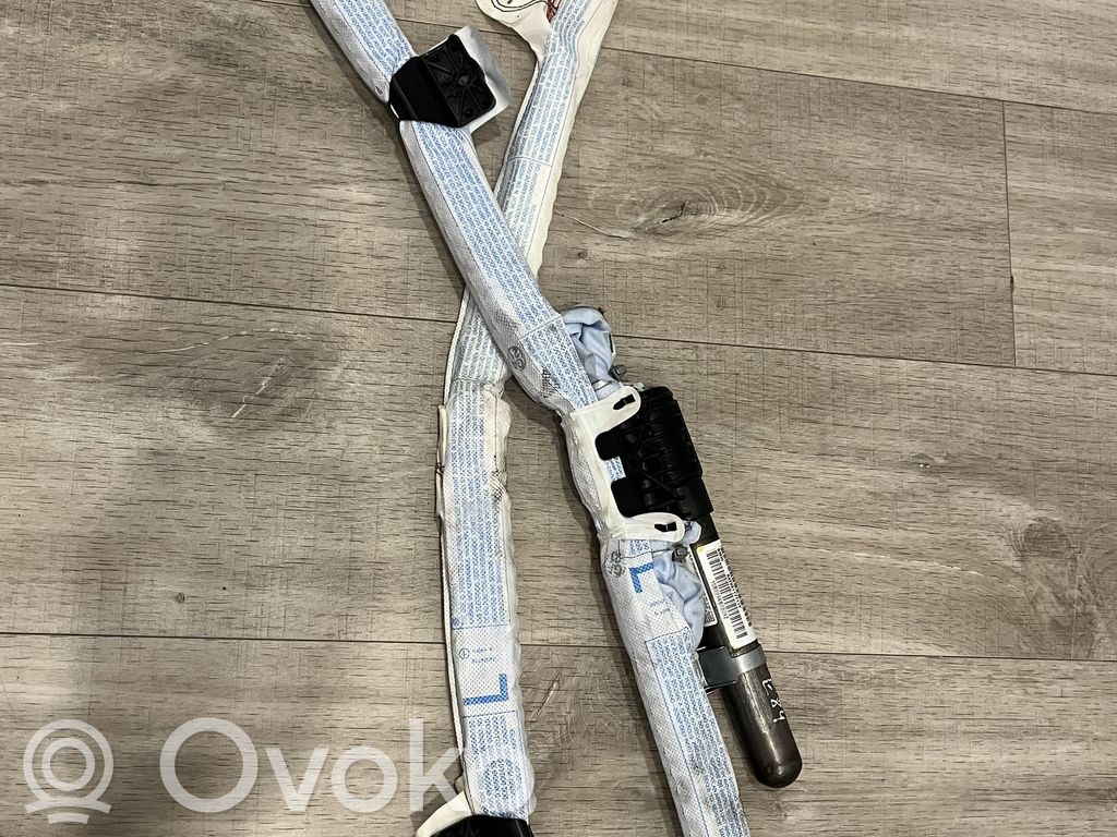 BMW X1 E84 Airbag del techo 