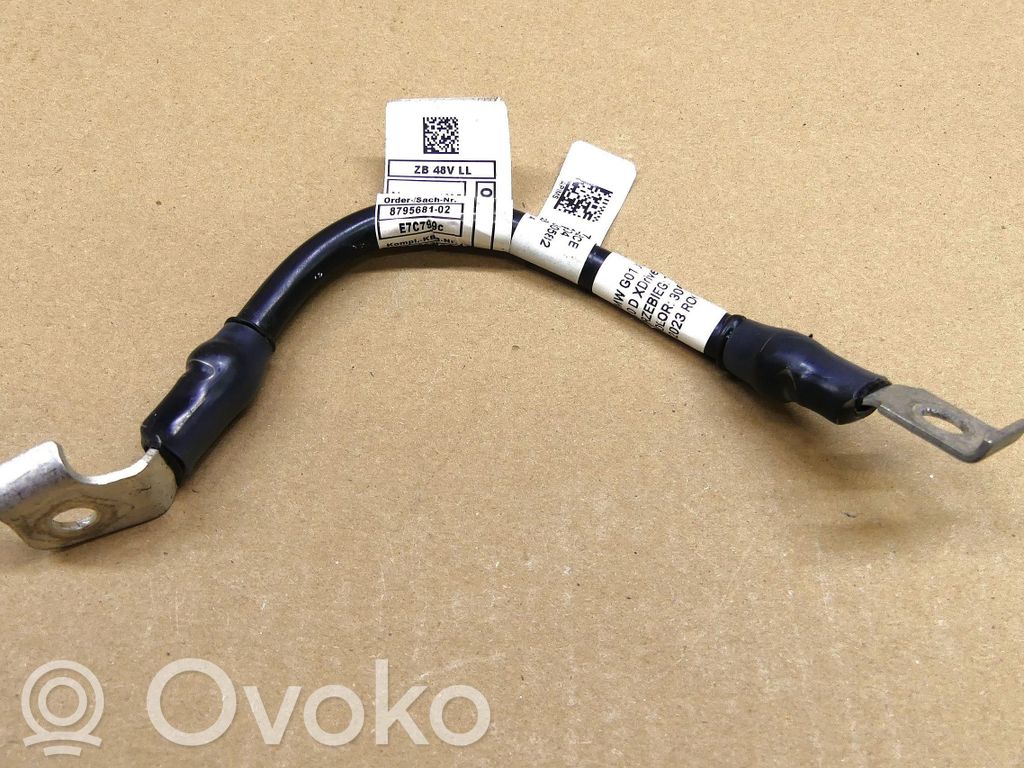 BMW X3 G01 Minus / Klema / Przewód akumulatora 