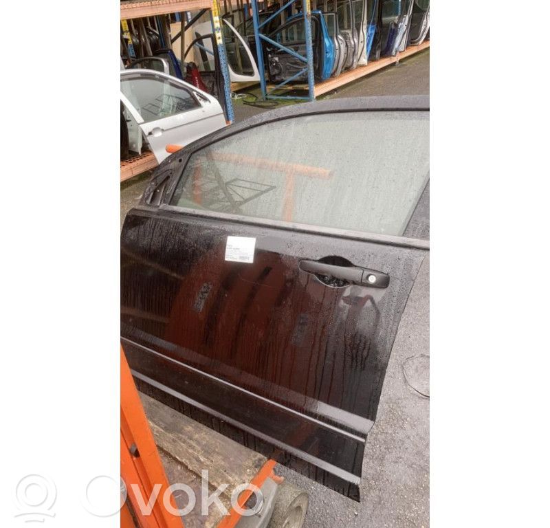 Priekinės durys   05074155AI