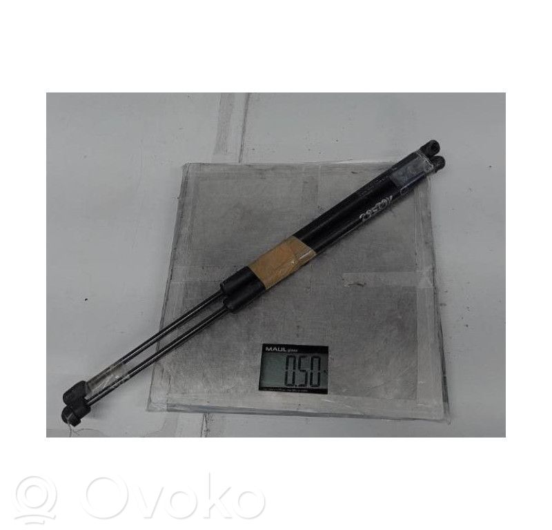 Tailgate/trunk strut/damper