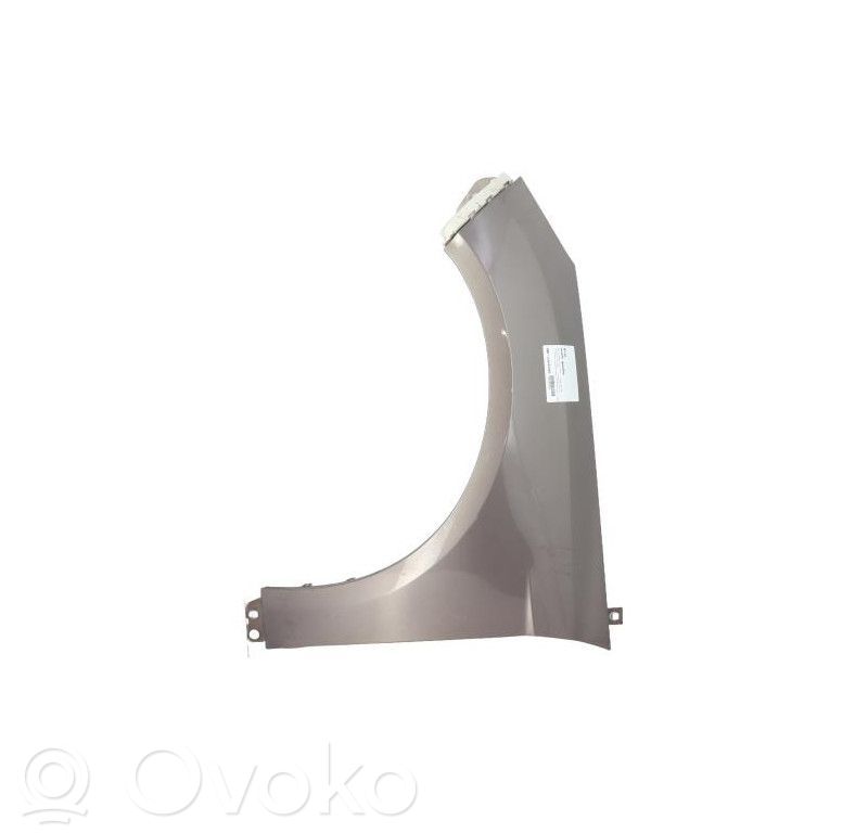 Fender   2171304