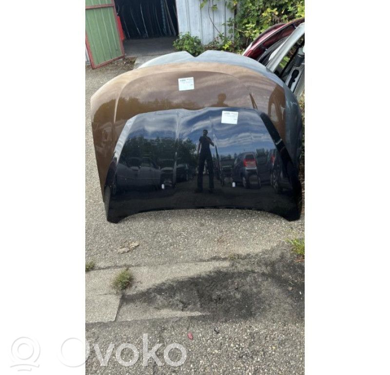 Capó/tapa del motor   2100964