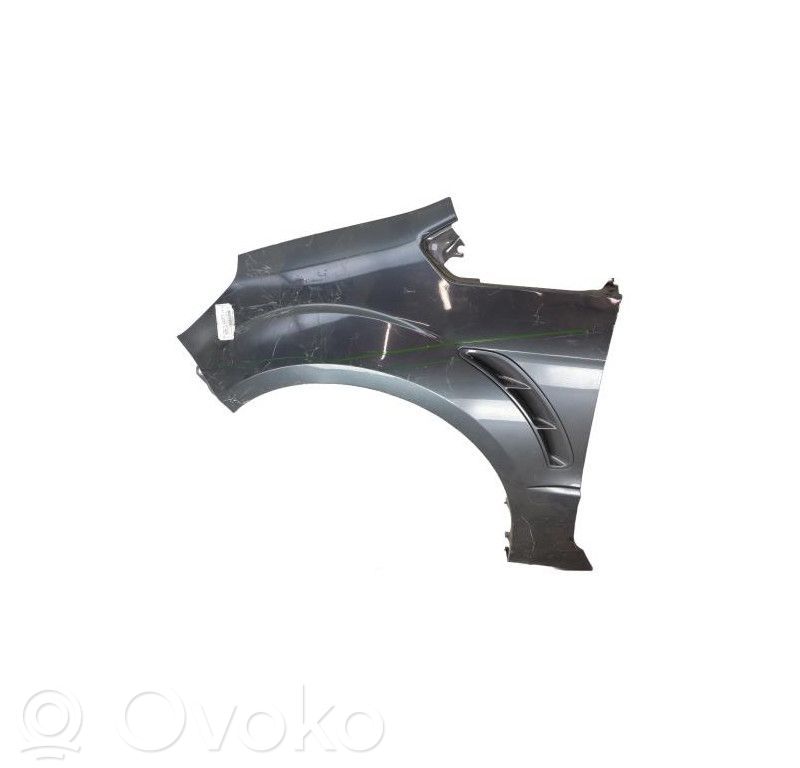 Guardabarro   1712811