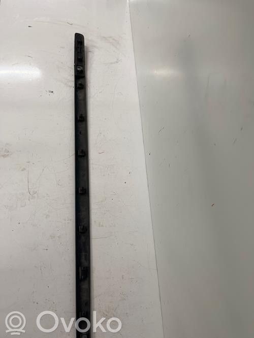 Renault Clio III Listón embellecedor de la puerta delantera (moldura)