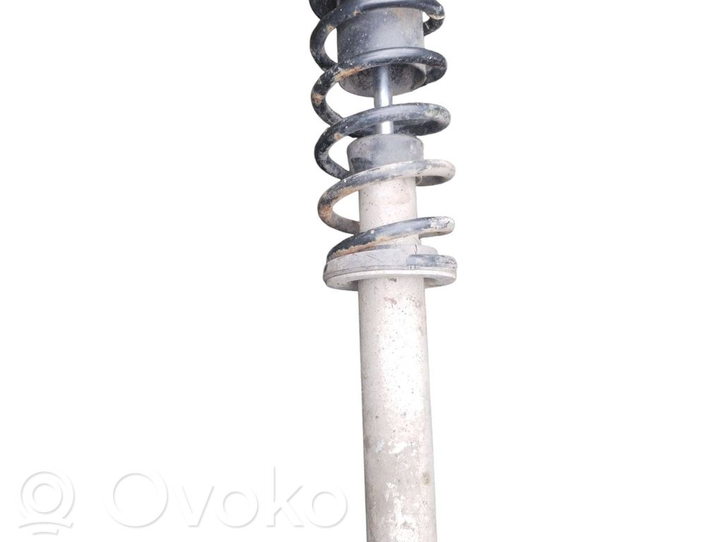 Rear shock absorber/damper   6758095