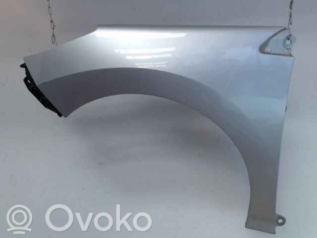 Peugeot 3008 I Fender 