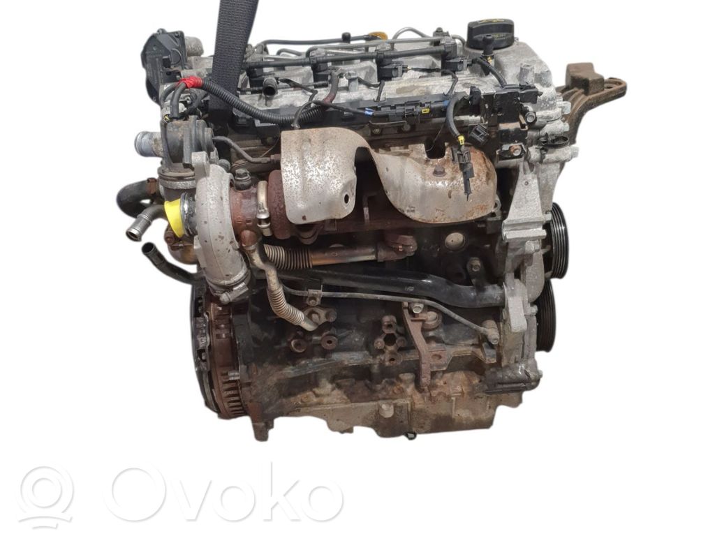 KIA Rio Variklis 