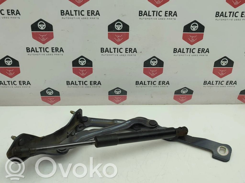 Tesla Model 3 Tailgate/trunk/boot hinge 