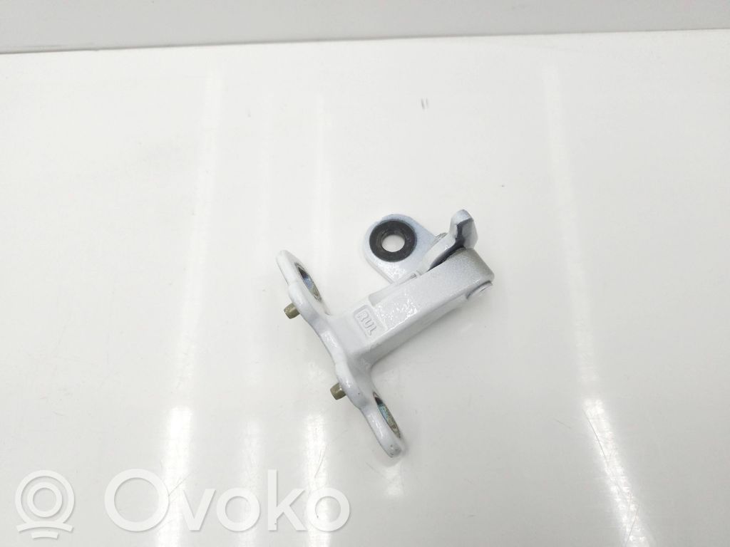 Tesla Model Y Rear door lower hinge 