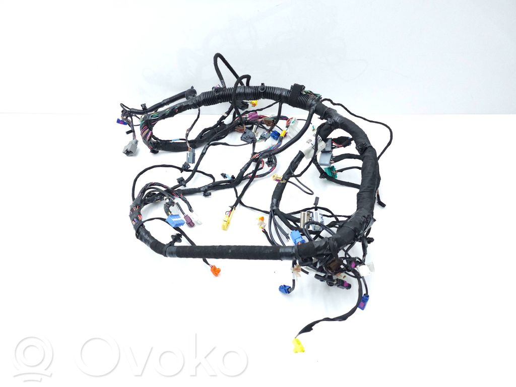 Cables del panel   100442294T