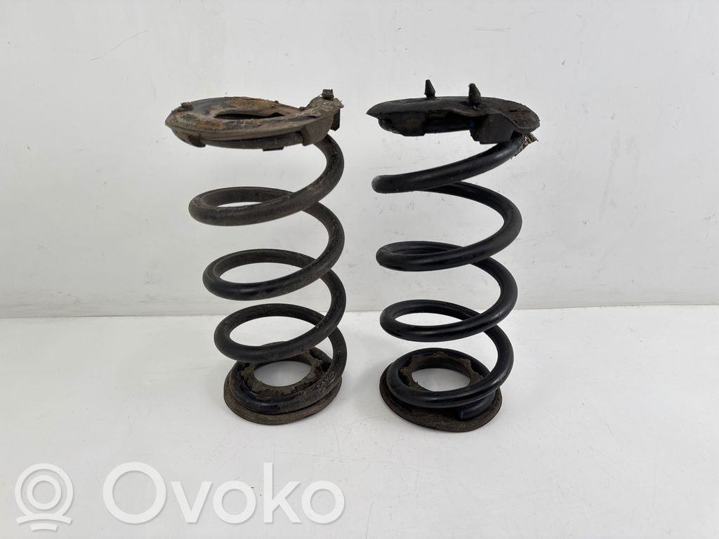 Tesla Model 3 Rear coil spring 
