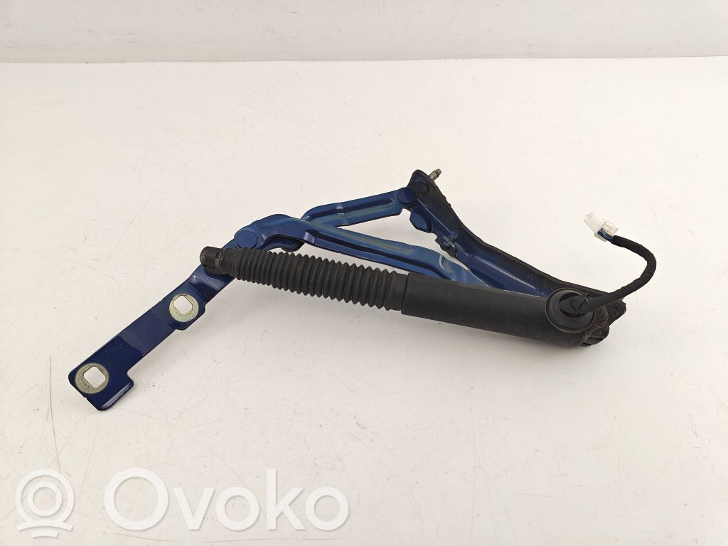 Tailgate/trunk/boot hinge   155148800B,544724,211361316B0253