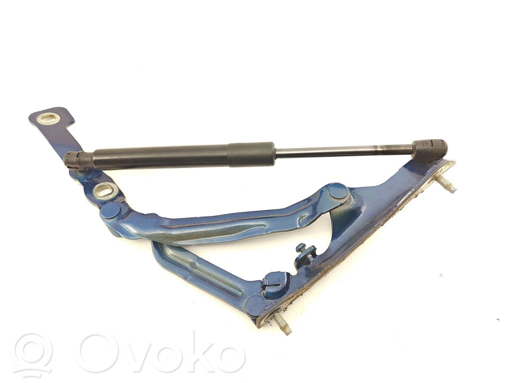 Tesla Model 3 Tailgate/trunk/boot hinge 