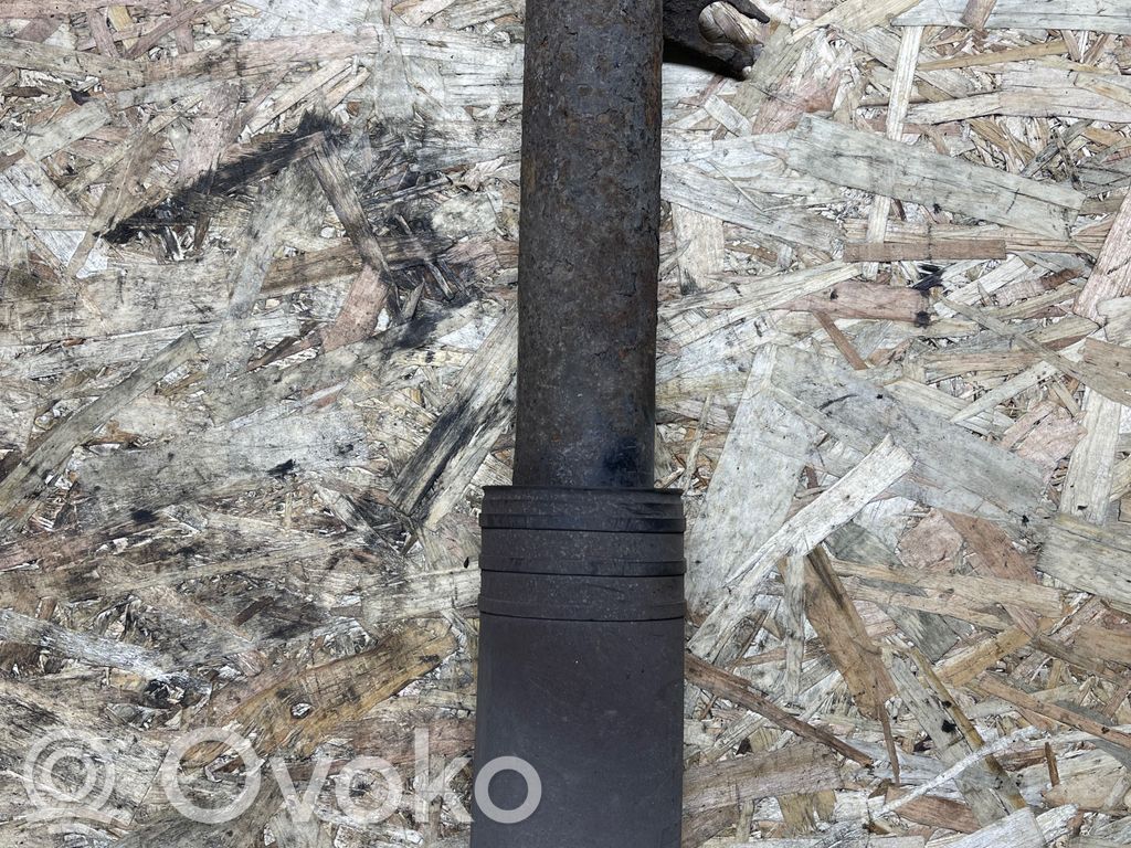 Stoßdämpfer hinten   22244971,781931,H701SN
