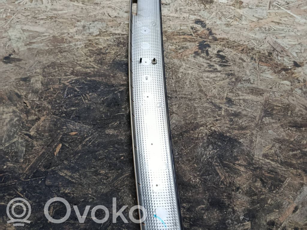Trim molding   7010954,EK646P