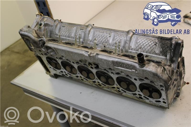 Galvutė   1436812,M54B22