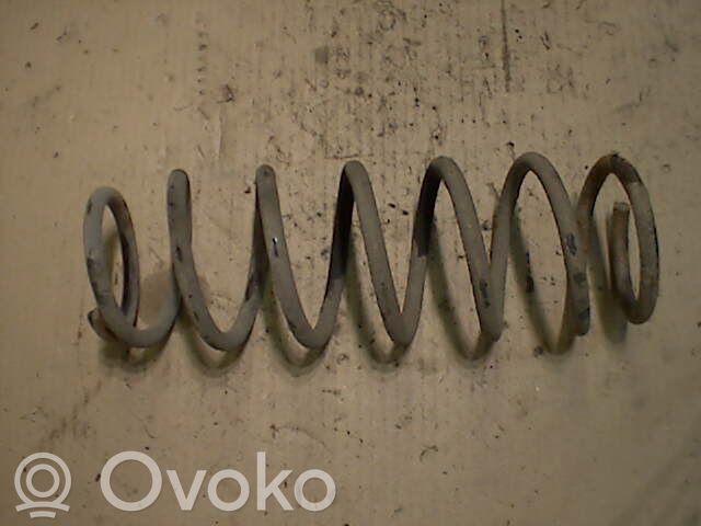 Front coil spring