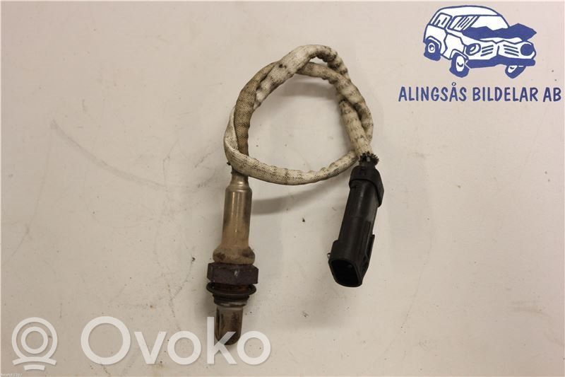 Зонд «Lambda»   8200170204