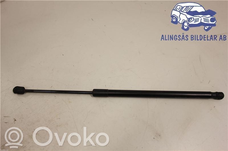 Bagažinės amortizatorius   D65163620
