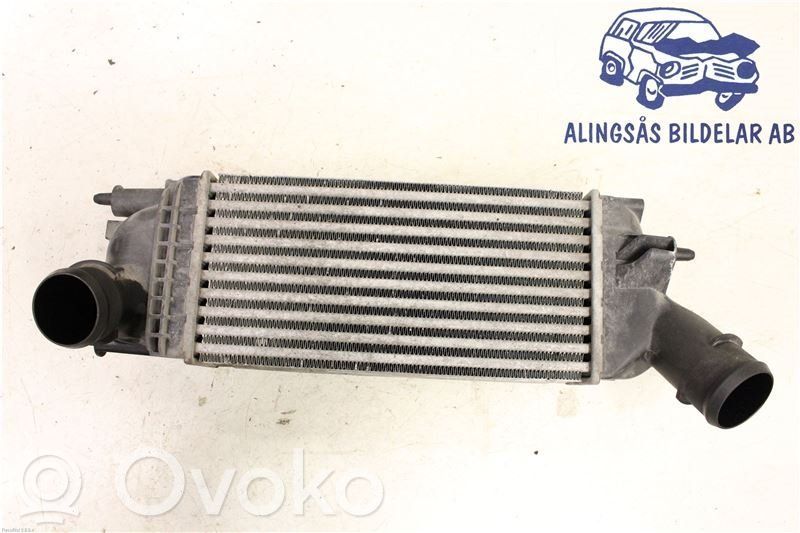 Interkūlerio radiatorius   9657073480