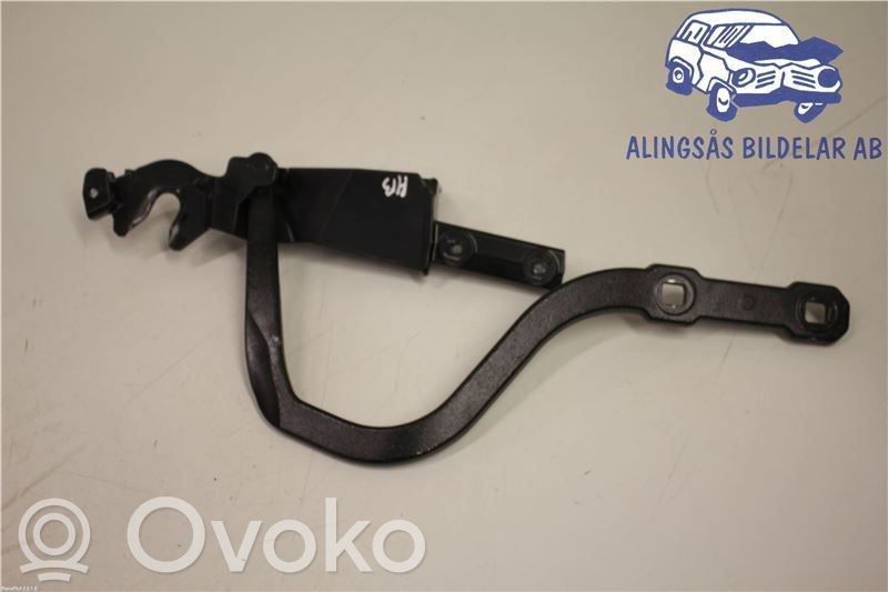 BMW 3 E92 E93 Aizmugurējā pārsega eņģe (-ess) 
