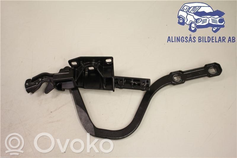 Aizmugurējā pārsega eņģe (-ess)   54377203116