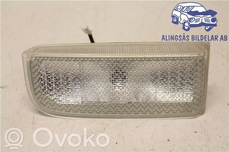 Reverse light