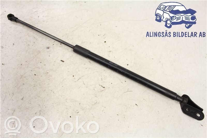 Tailgate strut   689500F030