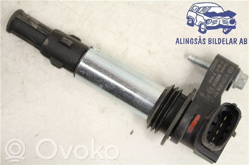 High voltage ignition coil   0221604104,12613057