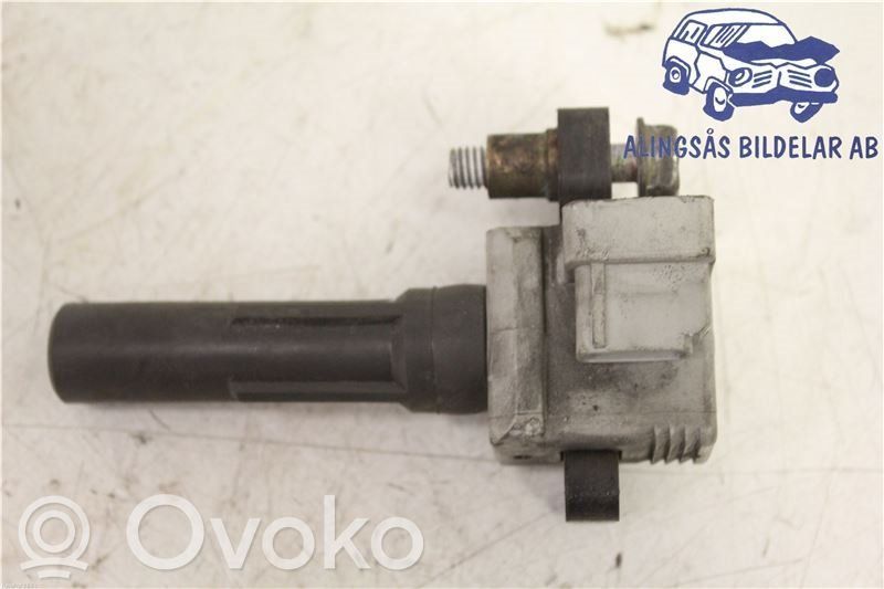 Aukštos įtampos ritė "babyna"   FK0186