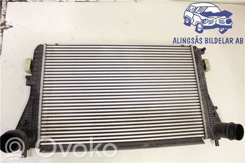 Volkswagen PASSAT B7 Interkūlerio radiatorius 
