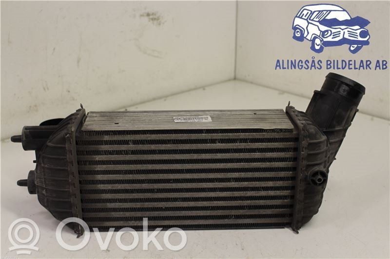 Interkūlerio radiatorius   R1402004,9673015780