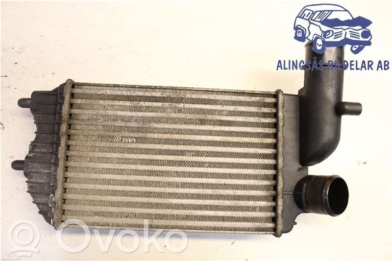 Intercooler radiator   1319508,1319508