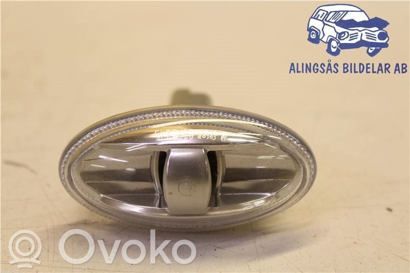 Front fender indicator light