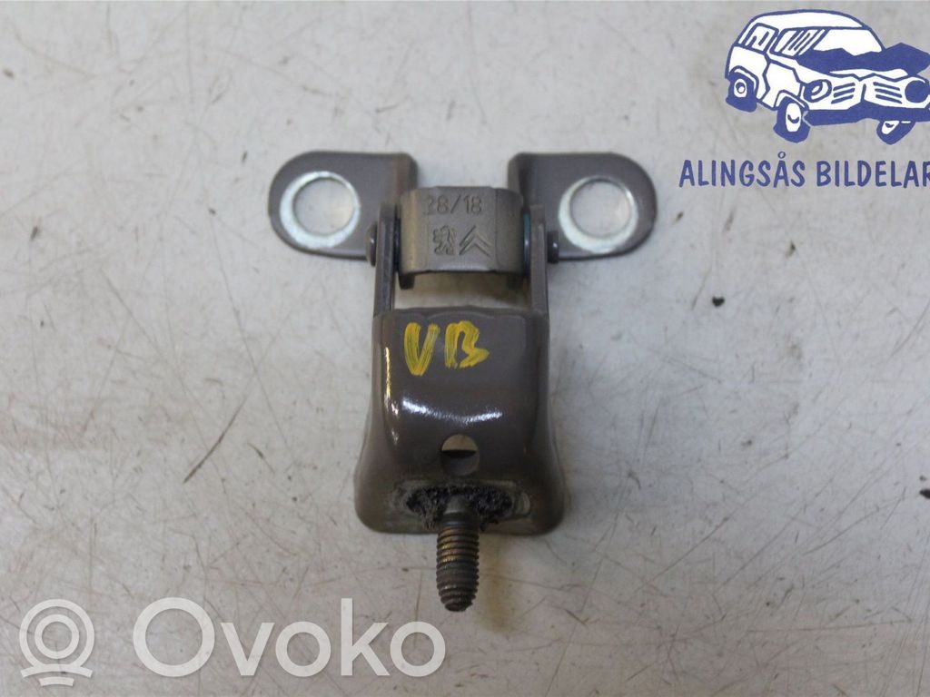Tailgate/trunk/boot hinge