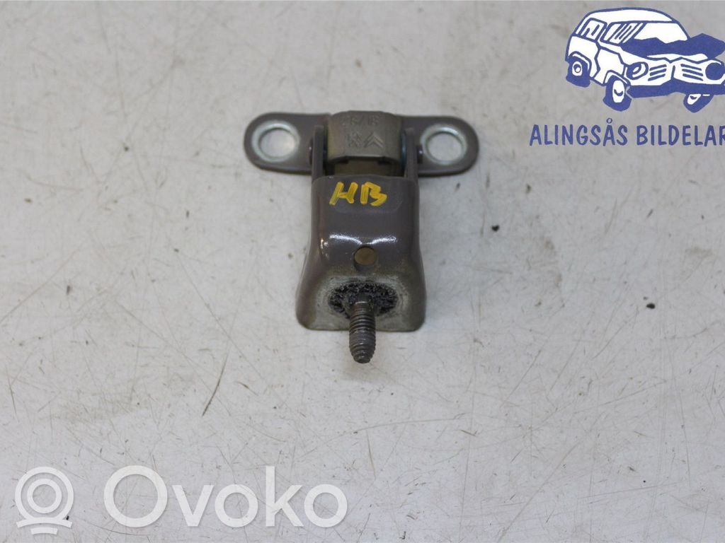 Tailgate/trunk/boot hinge