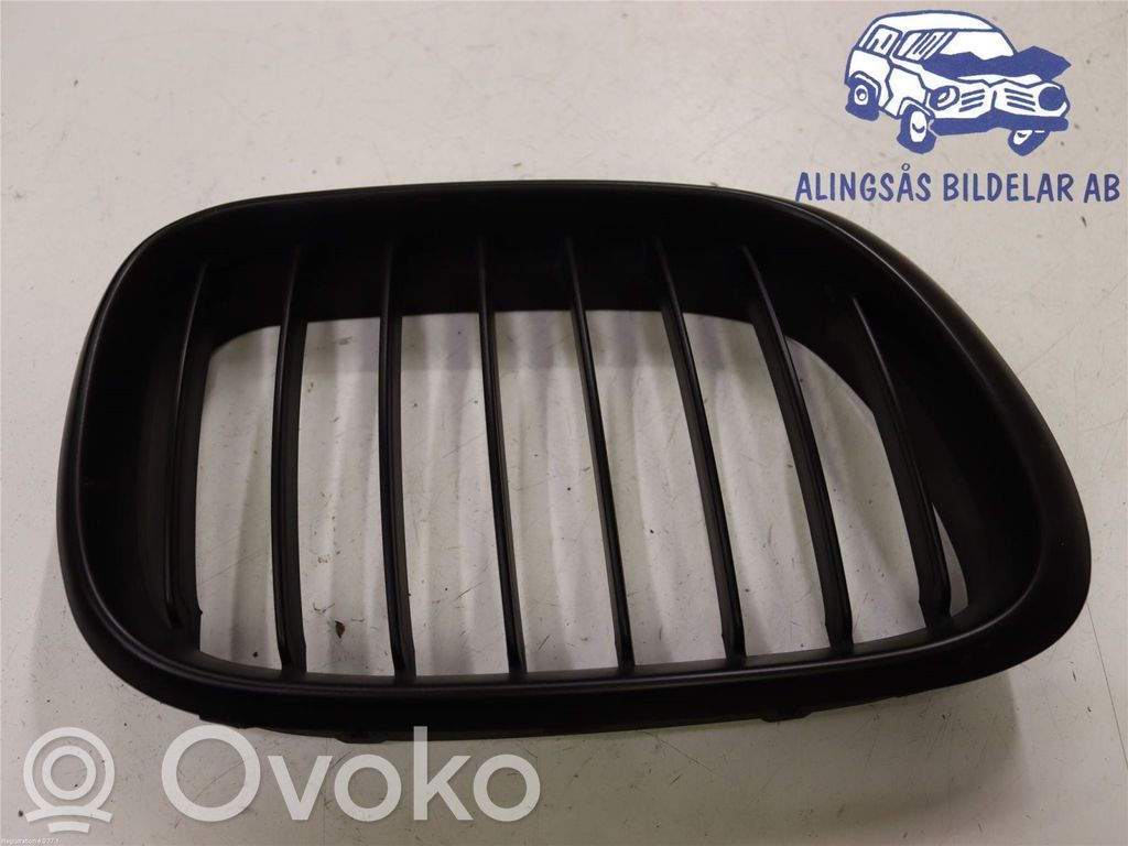 BMW X5 E53 Front bumper lower grill 